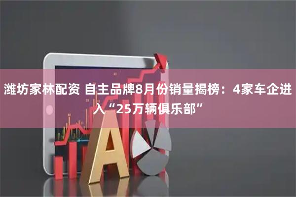 潍坊家林配资 自主品牌8月份销量揭榜：4家车企进入“25万辆俱乐部”