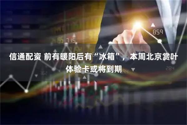 信通配资 前有暖阳后有“冰箱”，本周北京赏叶体验卡或将到期