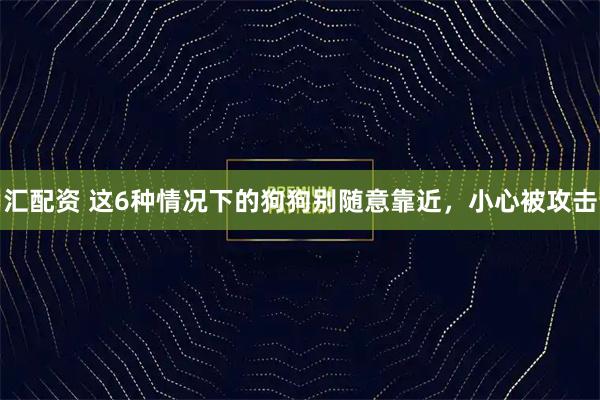 汇配资 这6种情况下的狗狗别随意靠近，小心被攻击