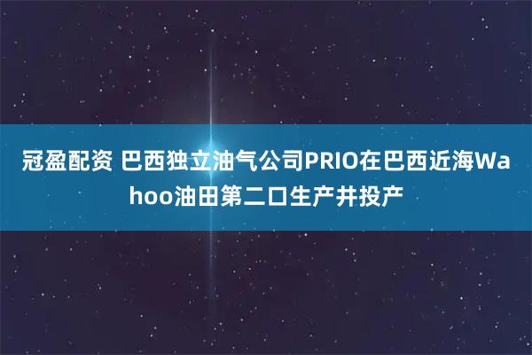 冠盈配资 巴西独立油气公司PRIO在巴西近海Wahoo油田第二口生产井投产